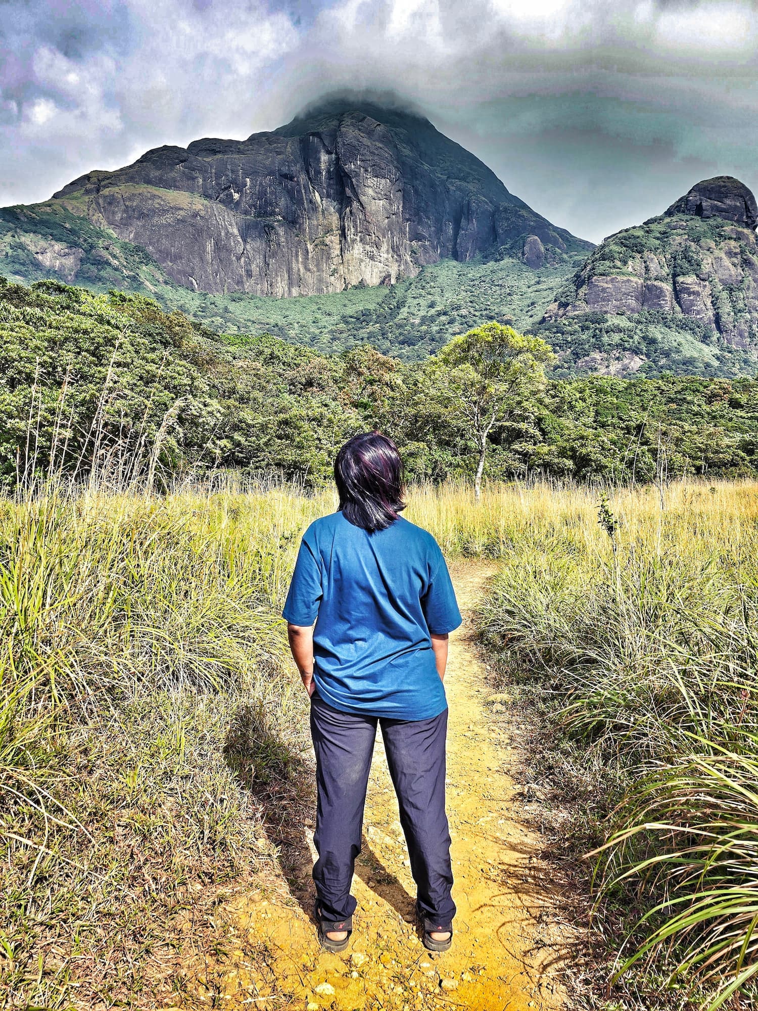Agasthrakoodam Peak: Wildlife Sanctuary Trek